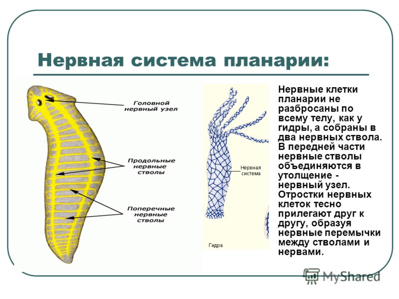 Официальный сайт кракен тор