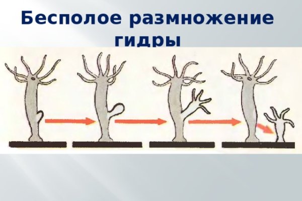 Кракен это сайт что продают