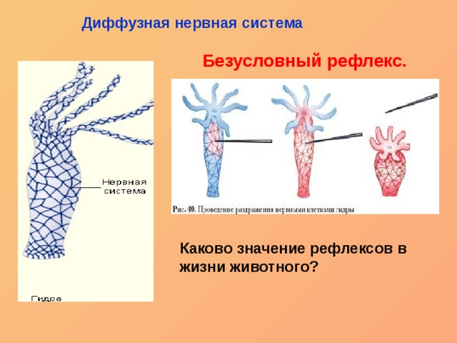 Кракен упал