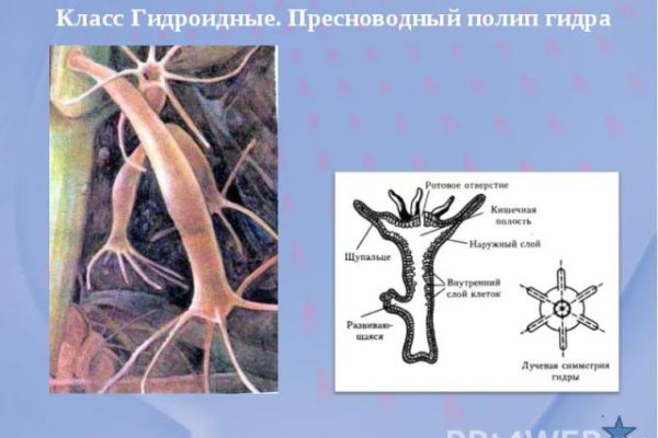 Кракен вывод средств