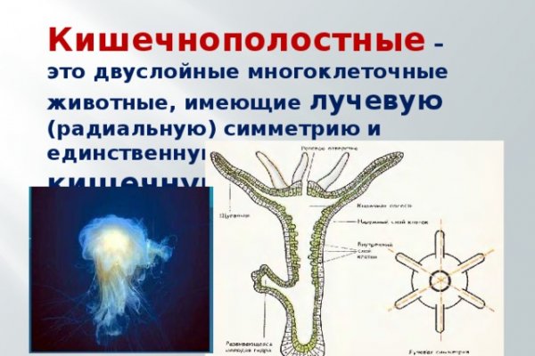 Кракен рабочий сайт