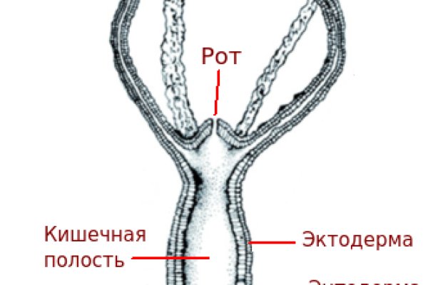 Кракен магазин kraken4am com