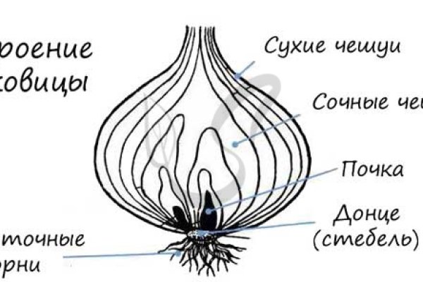 Рабочие ссылки и зеркала кракен